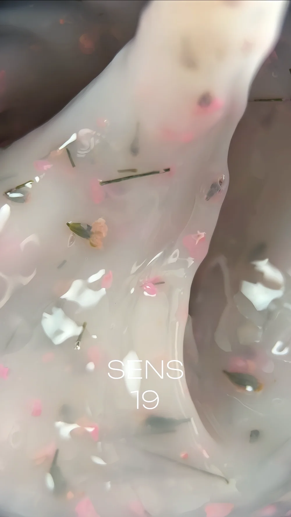 Sens 19